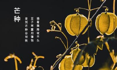 2021年冬至节气是鬼节吗？冬至要扫墓吗？