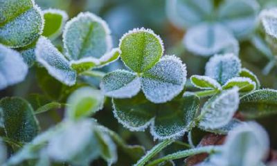 不同年份大雪节气出生的生肖属蛇的人命运怎么样？