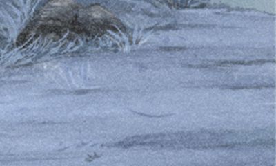 泓翔老师2016年9月生肖龙学业运势