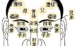 男子面相看五官攻略