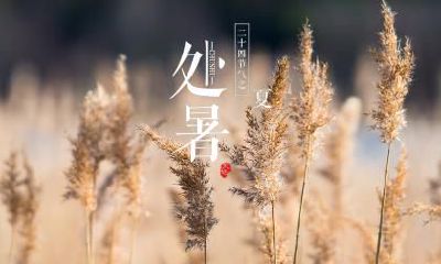 大寒节气有什么避讳？大寒节气农谚有哪些？