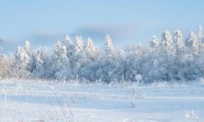 大寒能上坟吗？大寒有什么注意事项？