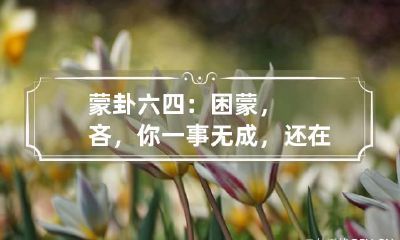 蒙卦六四：困蒙，吝，你一事无成，还在那里傻乐