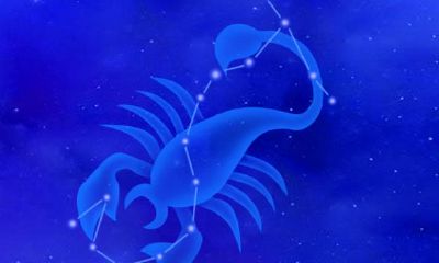 2020年十二星座事业展望提前看！！！