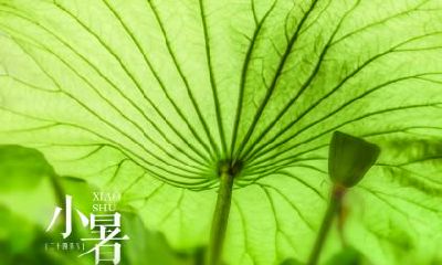 小雪节气会下雪吗？属虎小雪节气出生命运真的是苦吗？