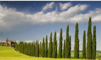 一周后，山盟海誓已不在，往事随风，爱恨随心的星座