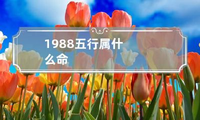 1988五行属什么命