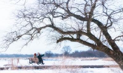 小雪后天气会越来越冷吗？小雪天晴冬天会怎样？