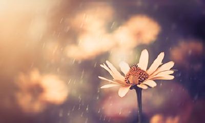 属龙人2022年每月运势