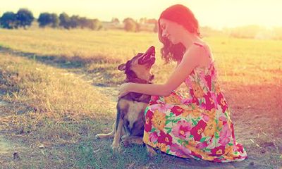 属龙人2022年事业运如何