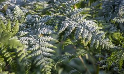 2021年小雪节气能搬家吗？这天可以入宅吗？