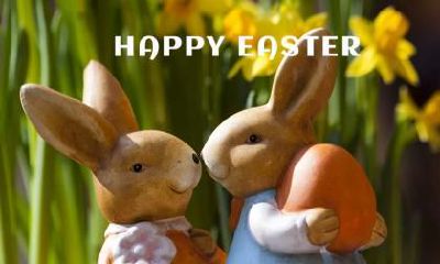 元旦是哪个国家的节日？元旦为什么吃汤圆？