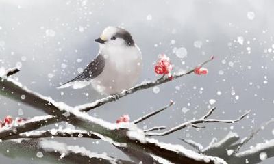 小寒是一年最冷的时候吗？小寒冷还是大寒冷？