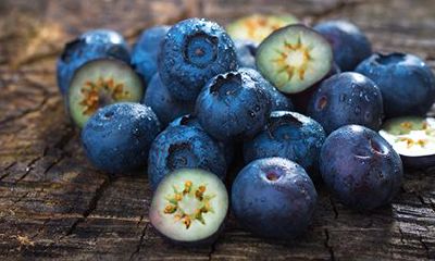 属龙人2022年12月运势