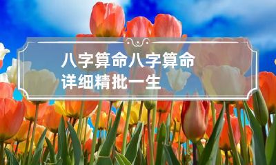八字算命 八字算命详细精批一生