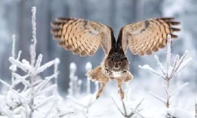 命理与命运：保持清醒 心中有数