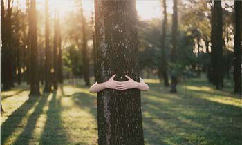 处女座男生和处女座女生做情侣