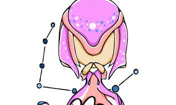 怎么追处女座男生?