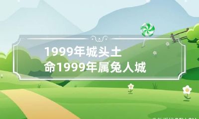 1999年城头土命 1999年属兔人城头土命是什么意思
