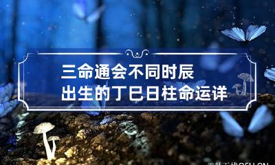 三命通会 不同时辰出生的丁巳日柱命运详解