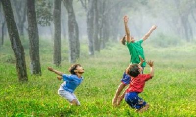 男鼠女羊婚姻生活会长期吗