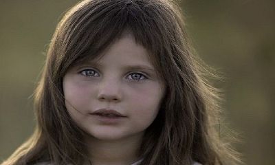 1995猪女1996男鼠婚姻相配吗