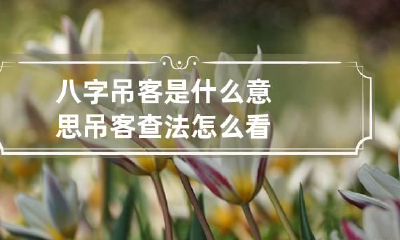 八字吊客是什么意思 吊客查法怎么看
