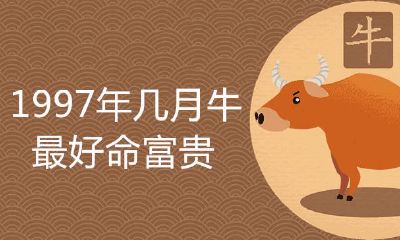 1997年几月份的牛最好命荣华富贵