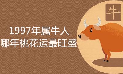 属牛97年桃花运是哪年最充沛