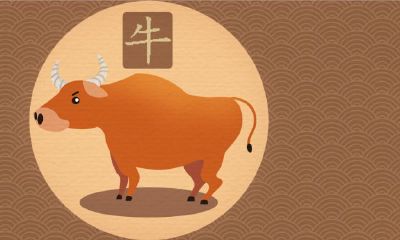 属牛非常容易当官的时辰