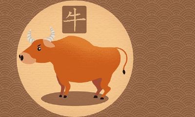 属牛35岁后转运是真是假