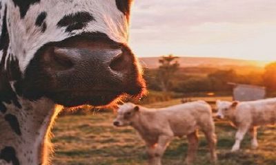 1973年牛女2022年每月运势详细说明