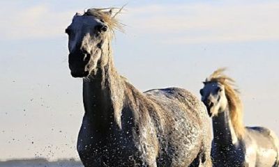 1988女和1990男合适结婚吗