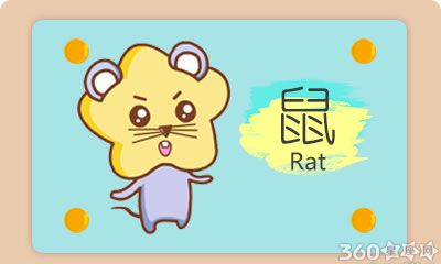 生肖狗和谁搭档干活效率极高