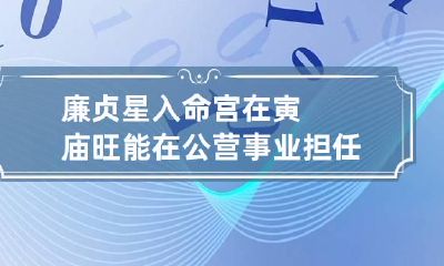 廉贞星入命宫在寅庙旺 能在公营事业担任要职