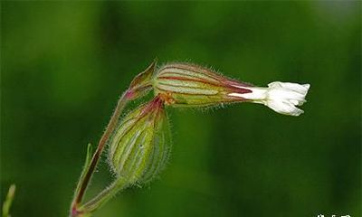 2022年农历五月哪天是好日子 ？什么是黄道吉日？