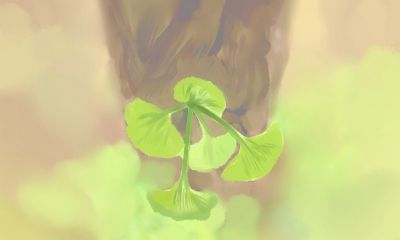 张盛舒2017年5月生肖鼠运势