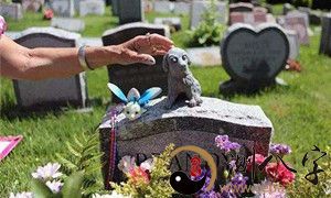 梦到舅爷爷去世了