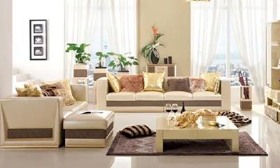 调节大客厅风水盆栽植物