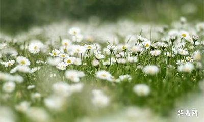 2022年农历五月二十七日这天动土吉利吗？