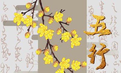 新生儿五行缺失查询表 五行缺什么查询实例