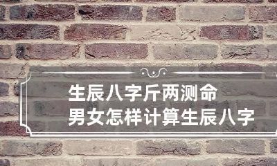生辰八字斤两测命男女 怎样计算生辰八字的斤两