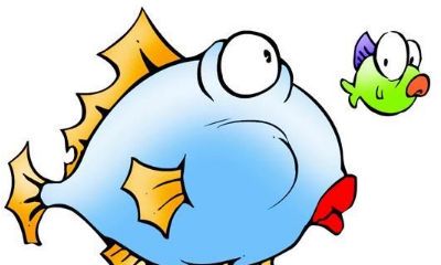 双鱼座最希望和谁睡