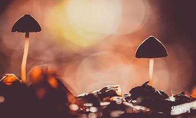 2022年农历六月初八是不是吉利日子？