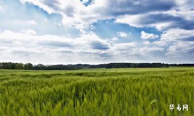 农历五月有多少天？2022年有没有闰五月？