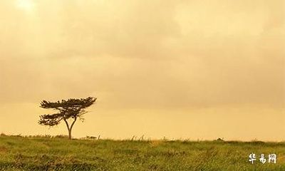 2022年农历五月出生要几月怀孕？预产期怎么算才准？