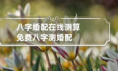 八字婚配在线测算 免费八字测婚配
