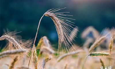 2022年农历六月十一日子好不好？是不是吉日？