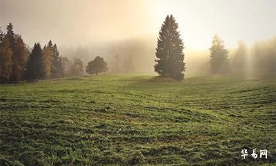 2022年农历六月二十日好不好？黄历宜忌什么？