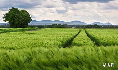 2022年农历六月二十五日是吉日吗？卦象如何？